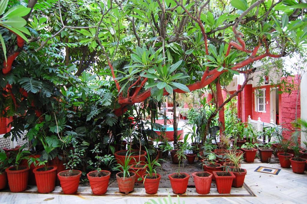 Hotel Tourist Rest House Agra Екстериор снимка